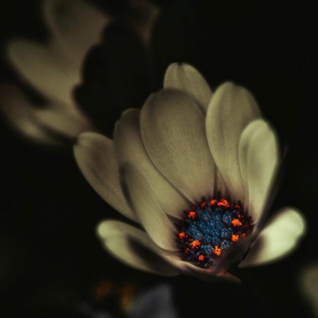 Instagram post 17910806612250518