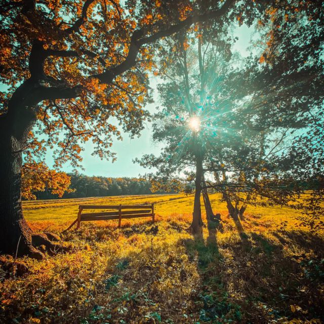 #Hamburg in den #bobergerdünen | #welovehh #welovehamburg #fall #sunset